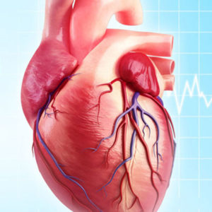 Cardio Vascular Diseases