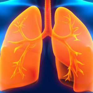 Respiratory